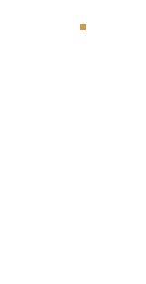 LOGO-gambit