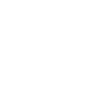 portfolio_FPV logo